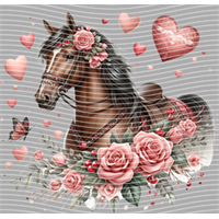 Valentine's Day-QRJ  5861